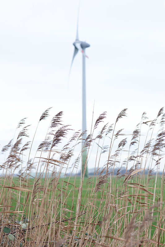 naturfotografie mettmann